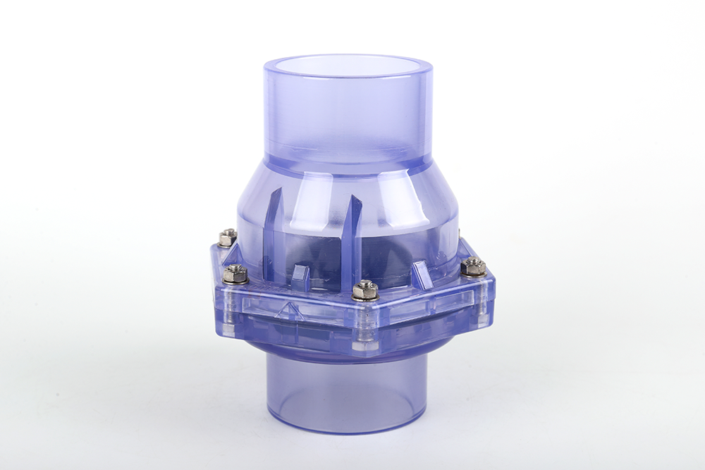 临漳透明翻板式止回阀